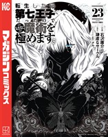 転生したら第七王子だったので、気ままに魔術を極めます（２３）