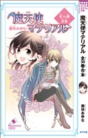 魔天使マテリアル　全３０巻合本