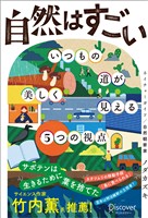 自然はすごい いつもの道が美しく見える5つの視点