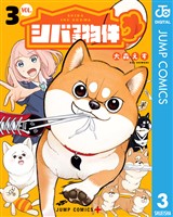 シバつき物件 3