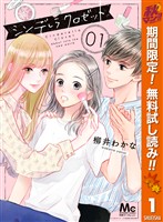 シンデレラ クロゼット【期間限定無料】 1