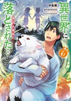 異世界に落とされた…浄化は基本！@COMIC 第6巻