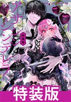 アサシン＆シンデレラ 6巻特装版 小冊子付き
