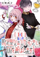 敗北聖女は、ひたむきに国を滅ぼします！【分冊版】 11