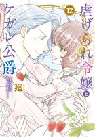 【特装版】虐げられ令嬢とケガレ公爵～そのケガレ、払ってみせます！～（12）