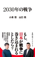 ２０３０年の戦争