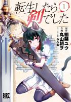 【期間限定　無料お試し版　閲覧期限2026年10月29日】転生したら剣でした（１）
