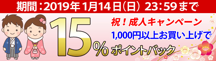 ポイントプレゼントタイムセールキャンペーン!