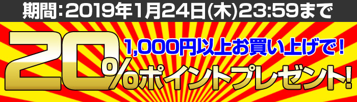 ポイントプレゼントタイムセールキャンペーン!