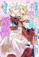 ルーン魔術だけが取り柄の不憫令嬢、天才王子に溺愛される ～婚約者、仕事、成果もすべて姉に横取りされた地味な妹ですが、ある日突然立場が逆転しちゃいました～（コミック）（３）