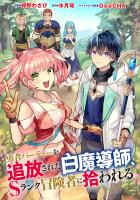勇者パーティーを追放された白魔導師、Sランク冒険者に拾われる ～この白魔導師が規格外すぎる～（コミック） 分冊版（３０）