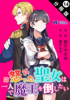 怒った聖女は一人で魔王を倒したい（コミック） 分冊版（１４）