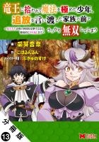 竜王に拾われて魔法を極めた少年、追放を言い渡した家族の前でうっかり無双してしまう～兄上たちが僕の仲間を攻撃するなら、徹底的にやり返します～（コミック） 分冊版（１３）