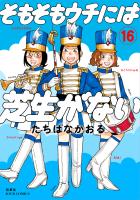 そもそもウチには芝生がない（１６）