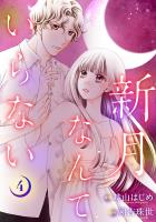 新月なんていらない（４）
