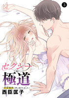 セクシー(元)極道～豹変義弟に押し倒されました～（３）