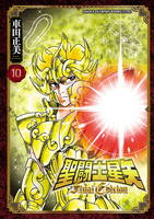 聖闘士星矢 Final Edition（１０）