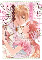 俺様王太子に拾われた崖っぷち令嬢、お飾り側妃になる…はずが溺愛されてます!?（３）