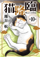 猫降臨【単話】（１０）