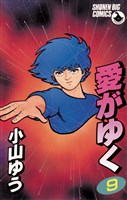 愛がゆく（９）