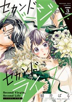 セカンドバージン・セカンドライフ～バツのち、セフ活～（３）