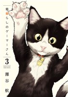 猫暮らしのゲーマーさん（３）