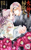 火の神さまの掃除人ですが、いつの間にか花嫁として溺愛されています【単話】（３６）