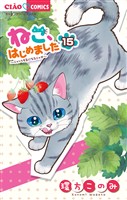 ねこ、はじめました（１５）