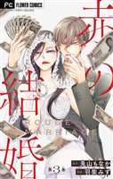 赤の結婚【マイクロ】 3