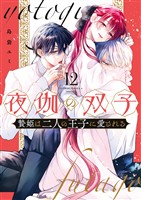 夜伽の双子―贄姫は二人の王子に愛される―（１２）