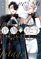 夜伽の双子―贄姫は二人の王子に愛される―（１１）