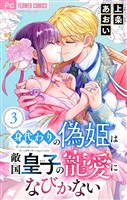 身代わりの偽姫は敵国皇子の寵愛になびかない【合本版】（３）
