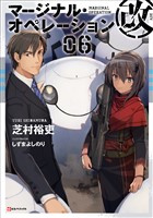 マージナル・オペレーション改 06