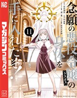 念願の悪役令嬢の身体を手に入れたぞ！（１１）