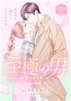 至極の男～もう一度愛される夜［ｃｏｍｉｃ　ｔｉｎｔ］　分冊版（２３）