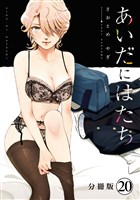 あいだにはたち　分冊版（２０）