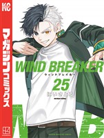ＷＩＮＤ　ＢＲＥＡＫＥＲ（２５）