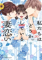 私たちはどうかしている　妻恋い　分冊版（２０）