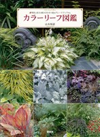 カラーリーフ図鑑　明度と高さの組み合わせで庭をグレードアップする