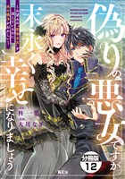 偽りの悪女ですが末永く幸せになりましょう～お望みの”恋多き女”を演じているのに夫の様子がおかしい～　分冊版（１２）