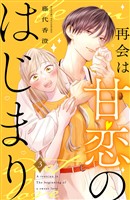 再会は甘恋のはじまり　分冊版（３）