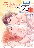 至極の男～もう一度愛される夜［ｃｏｍｉｃ　ｔｉｎｔ］　分冊版（８）