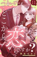 これって、どこから恋ですか？　分冊版（１１）