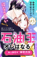 「石油王にオレはなる！」～極上御曹司と溺愛出張いってきます！！～　分冊版（３）