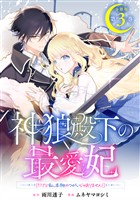 神狼殿下の最愛妃（だけど私、本物のつがいじゃありません！）　分冊版（３）