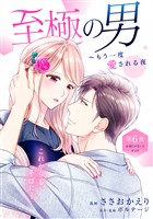 至極の男～もう一度愛される夜［ｃｏｍｉｃ　ｔｉｎｔ］　分冊版（６）