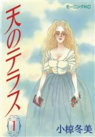 天のテラス(1)