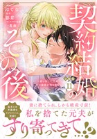 契約結婚のその後　～追い出した夫が私の価値を知るまで～　分冊版（１１）