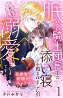 【期間限定　無料お試し版】眠れない騎士団長との添い寝を頼まれましたが、これって溺愛のはじまりですか？　分冊版（１）