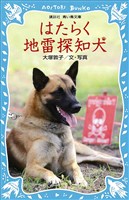 はたらく地雷探知犬